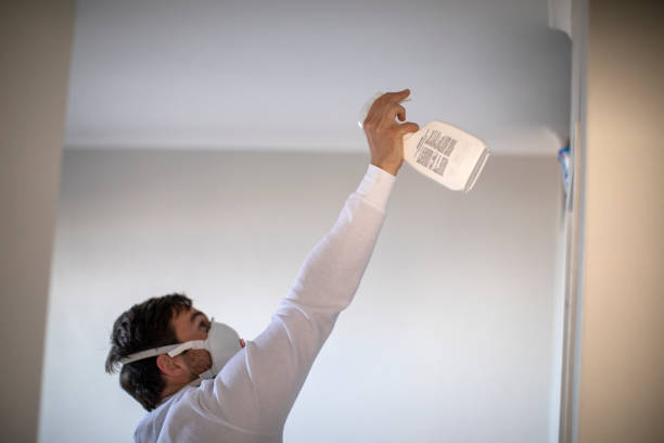 Best Black Mold Removal  in Barnhart, MO