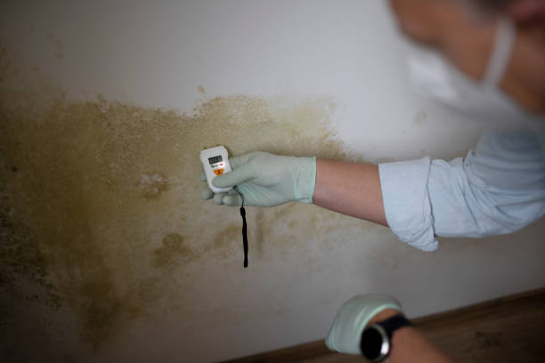 Best Crawl Space Mold Removal  in Barnhart, MO