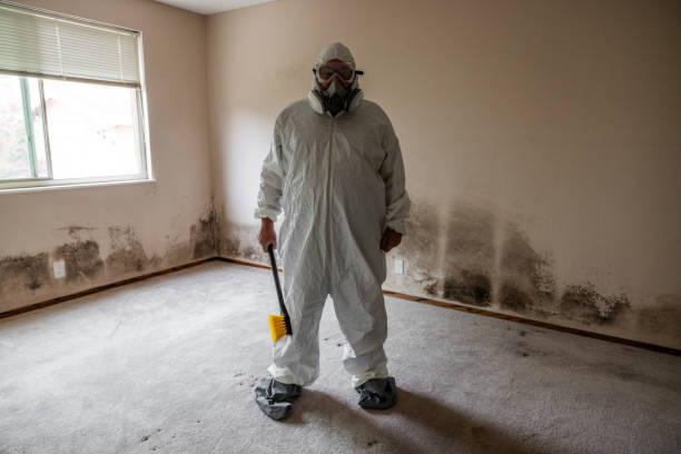 Mold Testing and Removal in Barnhart, MO